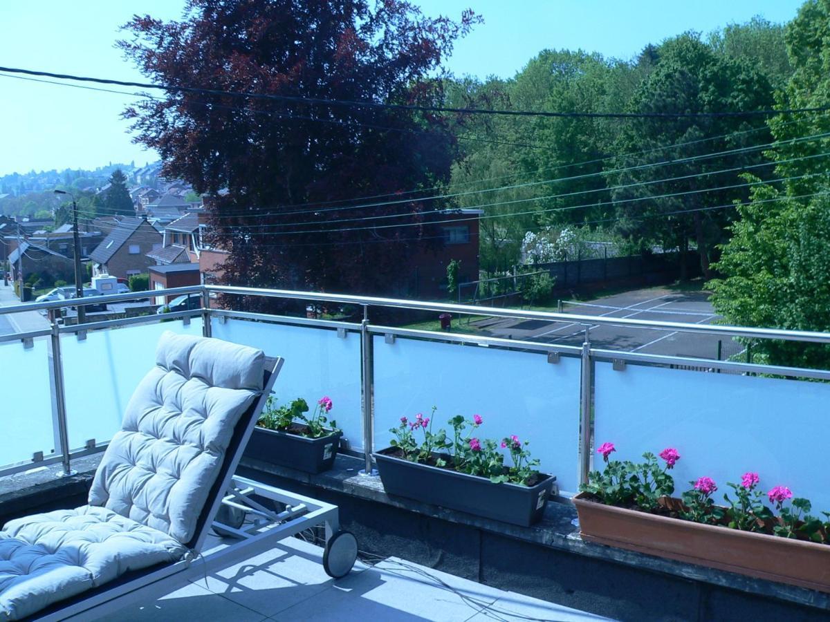 Liege 4420 Rue Jean Jaures 45 Grande Maison Joyeuse Avec Terrasse 30M2 Pour 8 Personnes Maximum Сен-Никола Экстерьер фото
